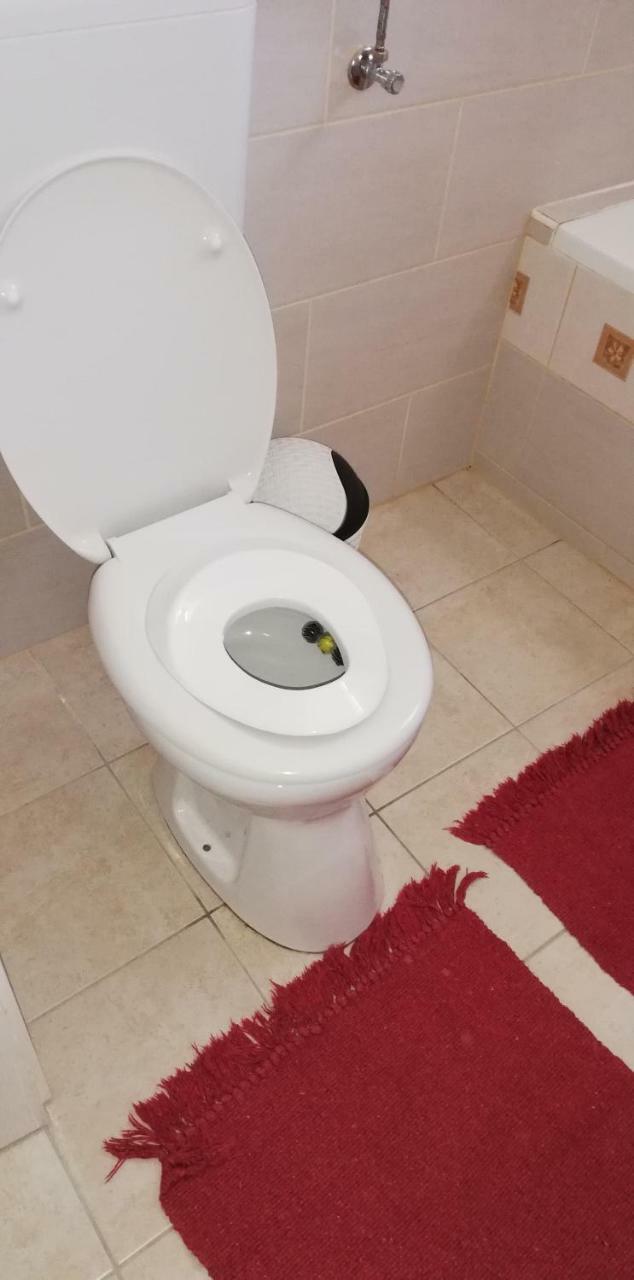 Bandi Vendeghaz Apartment Verpelet Luaran gambar